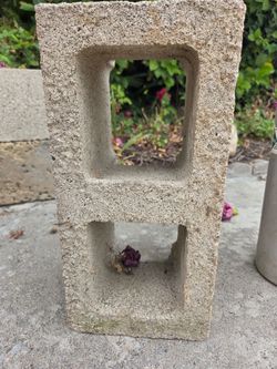 8 cinder blocks. Free