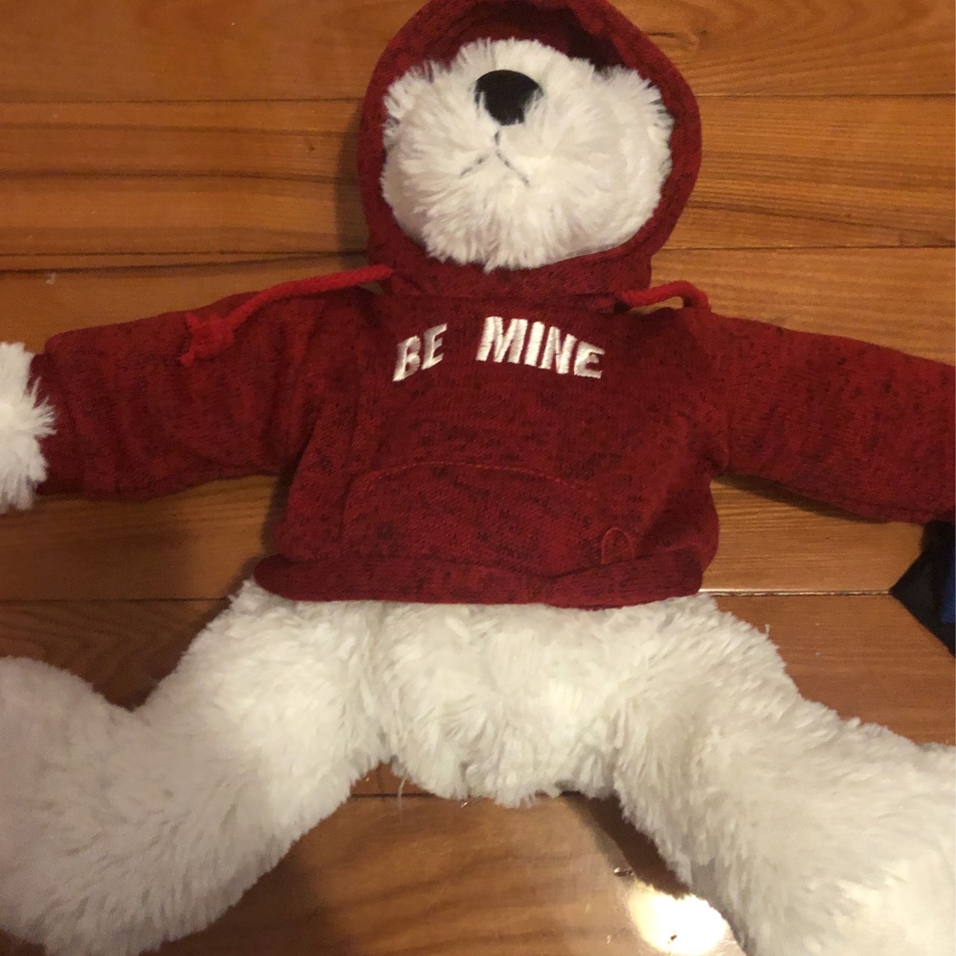 valentine’s day teddy bear with red hoodie