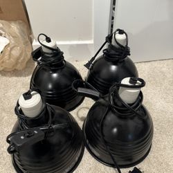 Dome Light fixtures 