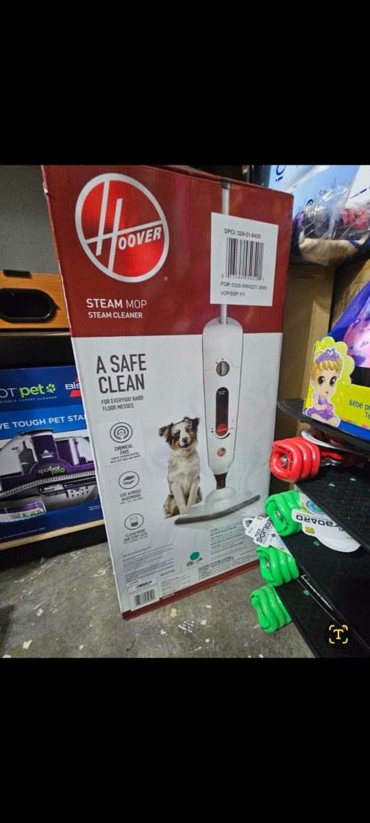 Brand New Steam Cleaner