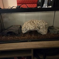 Reptile Tank 