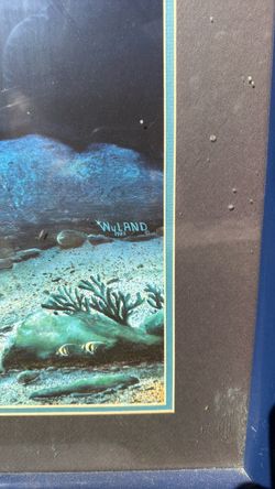 Wyland 1983 Framed Underwater Art Print