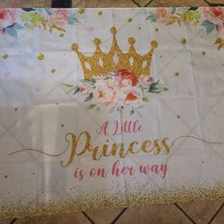 Little Proncess On Her Way Banner Party Background Backdrop
