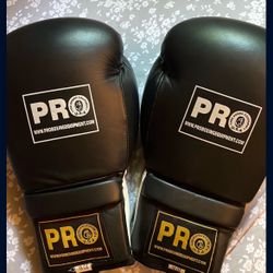 Pro Boxing Gloves 
