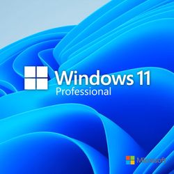 Microsoft Windows 11 Pro OEM DVD