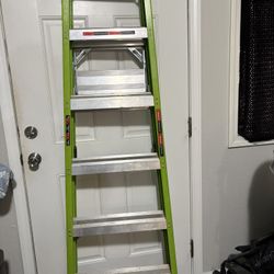 6 Ft Ladder
