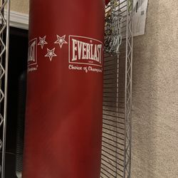 Everlast Punching Bag Like New  With Boxing Gloves And Head Protection Etc 