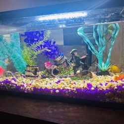 8 Gallon Fish Tank For Sale 