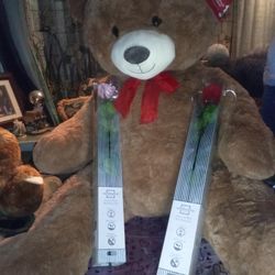 Jumbo Sized Teddy Bear With Roses