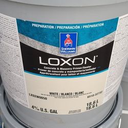 Loxon Primer 