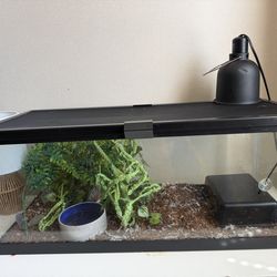 Ball python enclosure