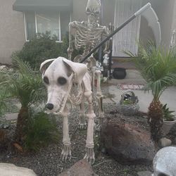 Halloween Decoration