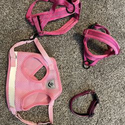 Puppy Harness and Collar