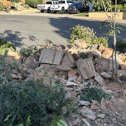 Free Wood Just Cut 4 Big Trees