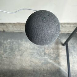 Amazon Echo Dot 