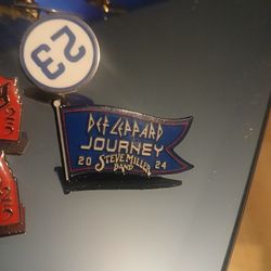 Exclusive Wrigley Feild pin