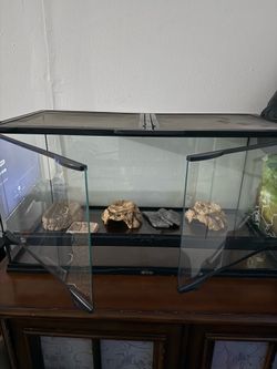 40g reptile enclosure
