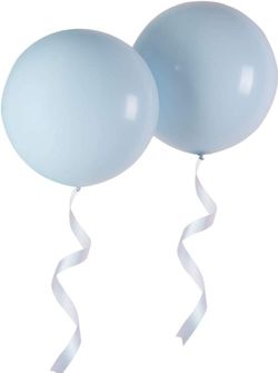 2pcs Pastel Blue Balloon Birthday Party Decorations Garland