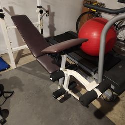 Bench Press 