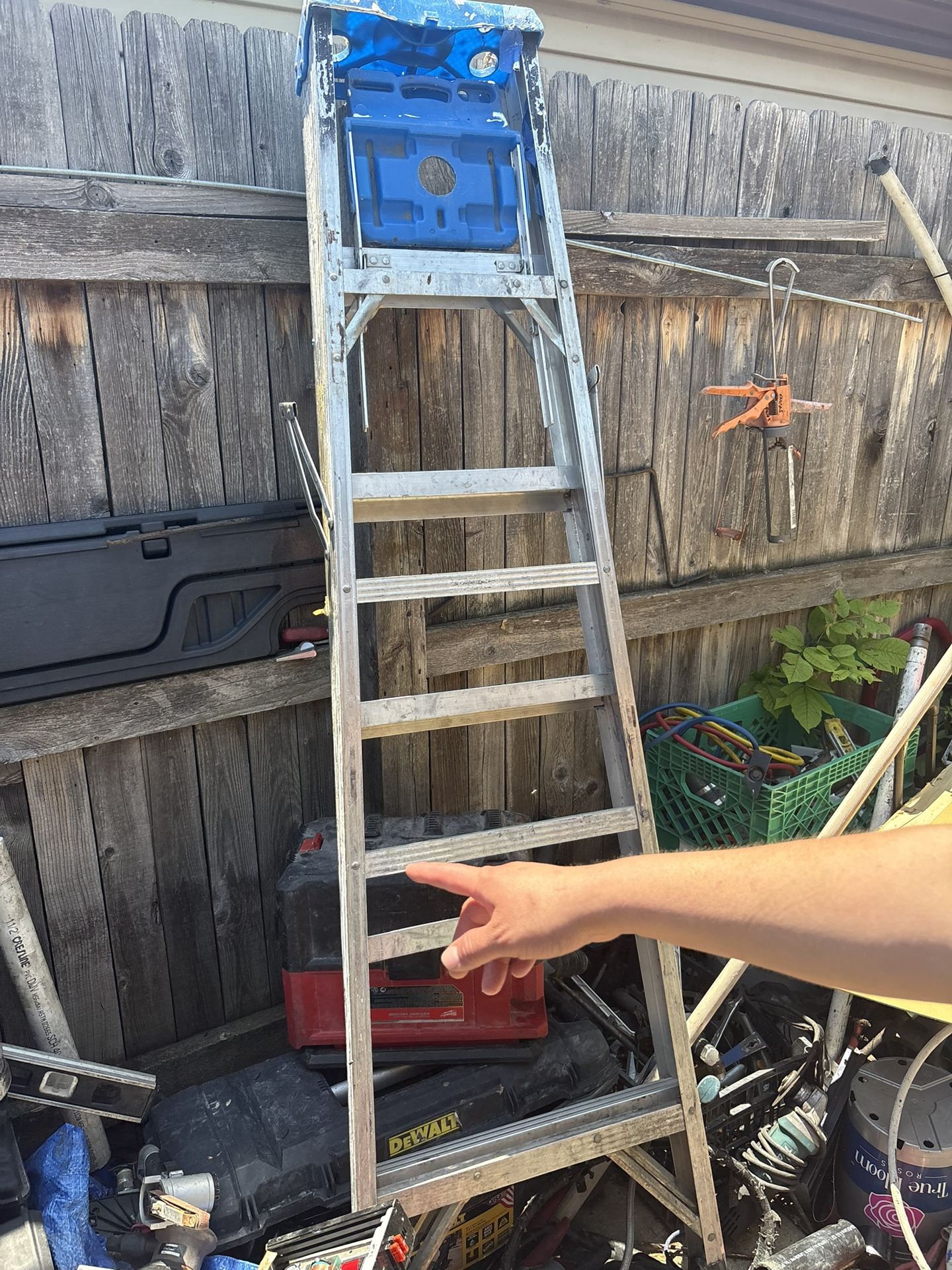 Ladder