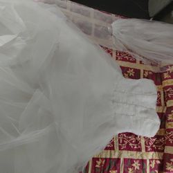 Wedding Dress/Quinceanera Dress