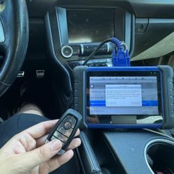 Car Keys Fobs And Remotes 