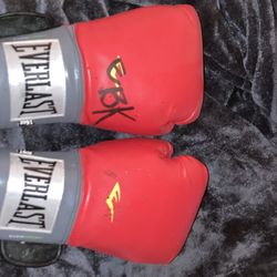 Ever last Pro Training Boxing Gloves