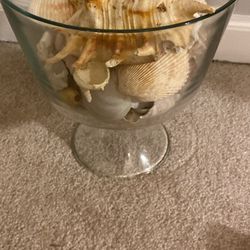 Assorted Shells In A Glass Holder