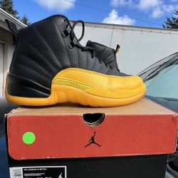 jordan 12