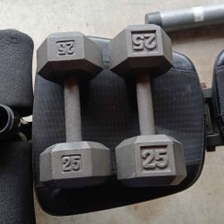 Weights Metal 2.25