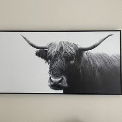 Bull Photo Wall Decor 
