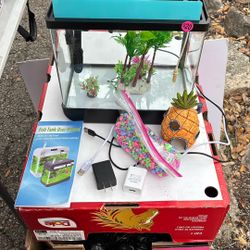 Aquarium 3 Gallon with accessories 