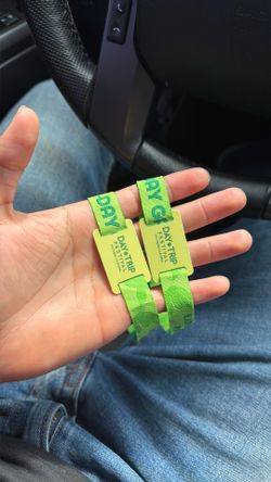 DAYTRIP (x2) 2 DAY GA ORANGE COUNTY