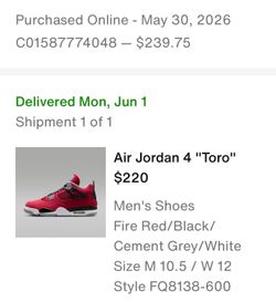 Size 10.5 Jordan 4 toro bravo