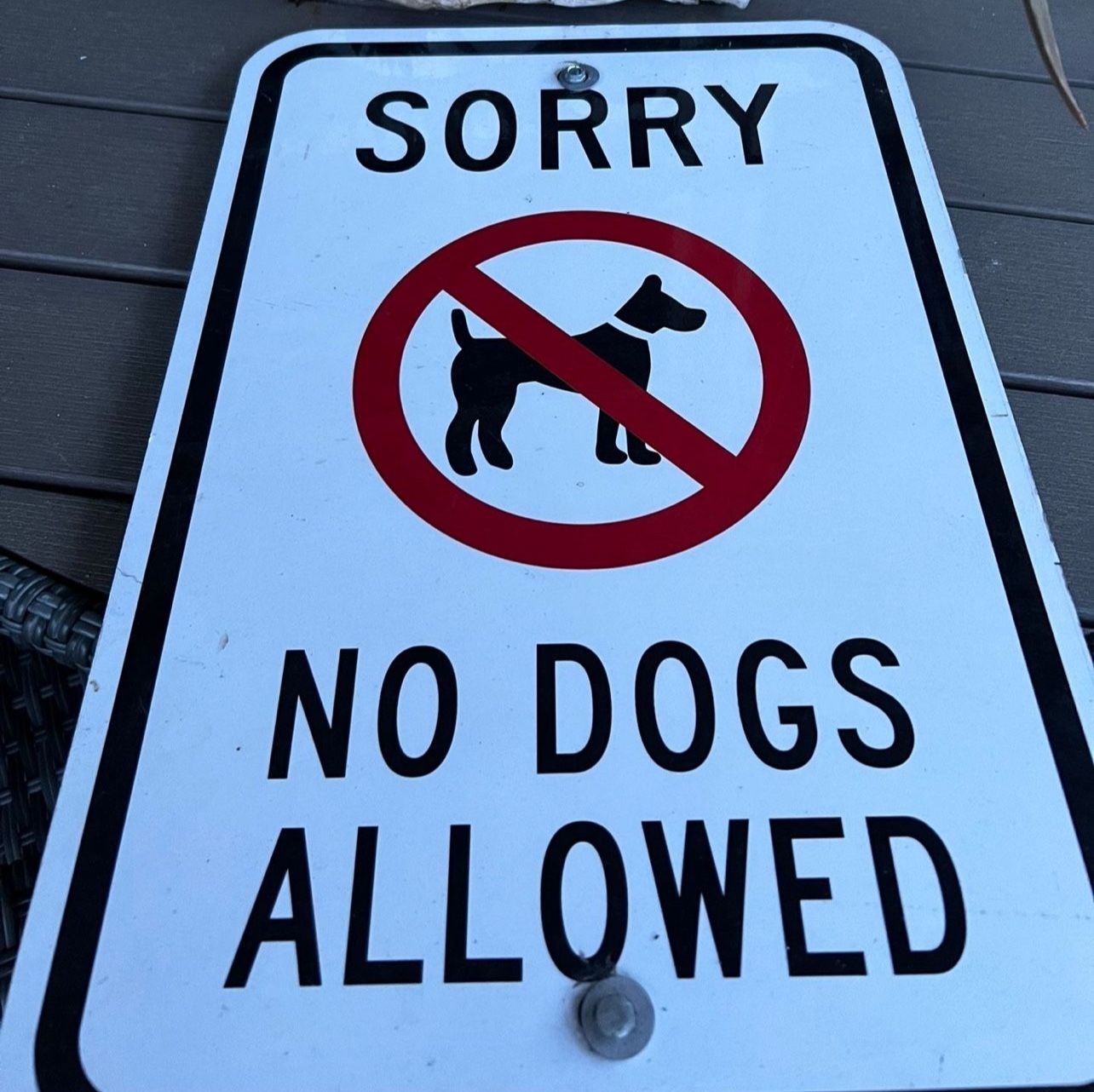 Metal Outdoor Sign “No Dogs Allowed”