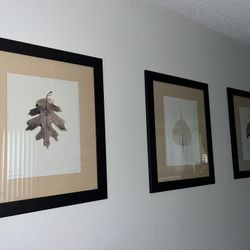 Wall Decor Large Pictures in Frame 21x25