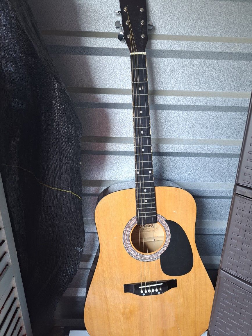 Guitar