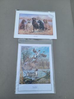 Prints DUCK MASTERS and PINTAIL MAJESTY lot of 2. 8 5x11.5"