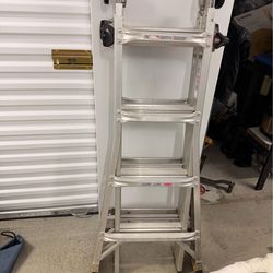Gorilla ladder