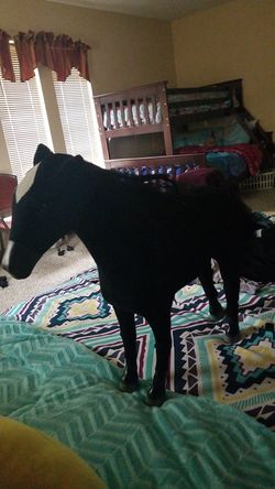 toy horse
