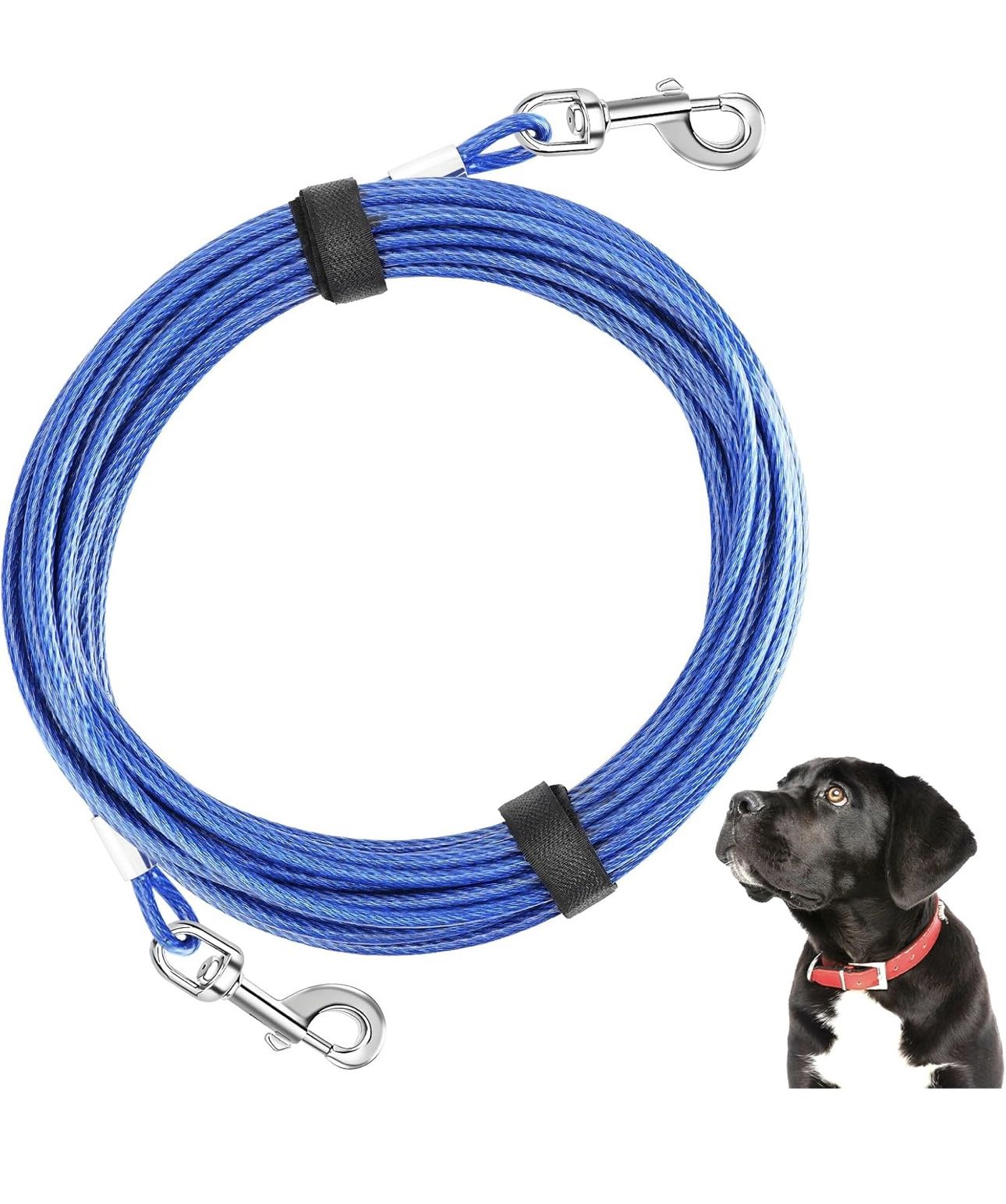 Backyard Dog Leash