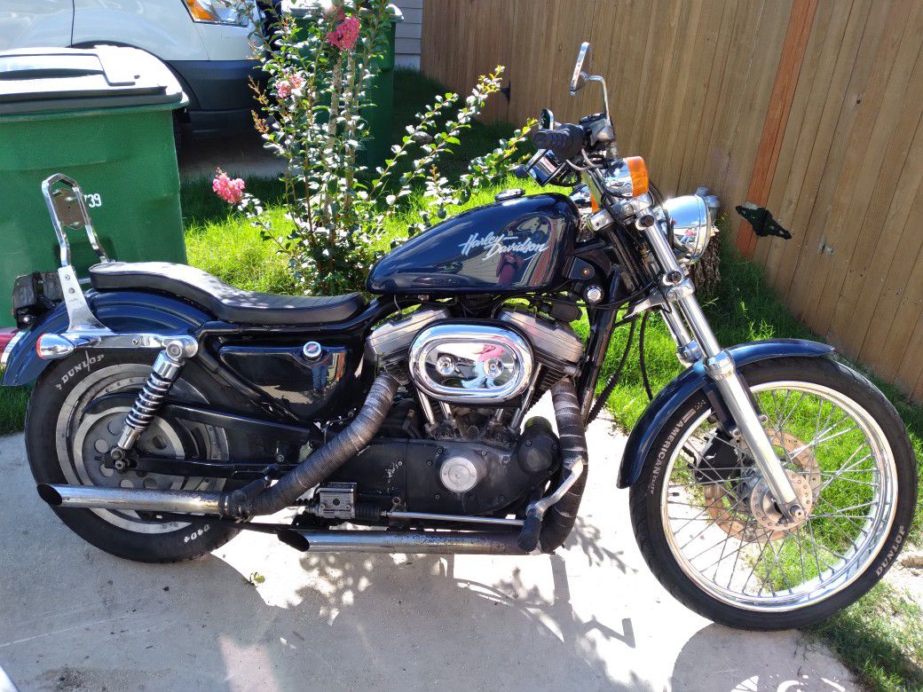 Photo Harley Davidson Sportster 883 Custom