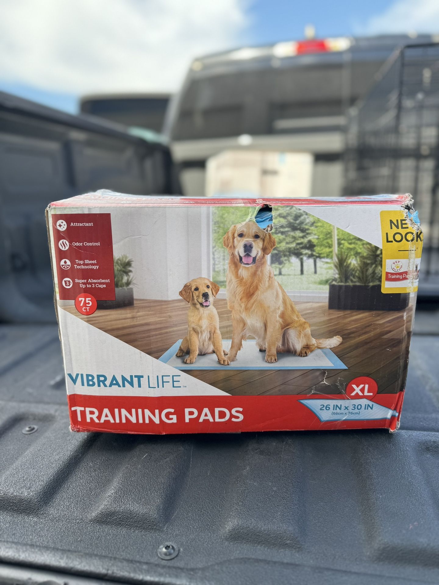 ❗️DOG TRAINING PADS❗️