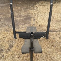 Workout Bench