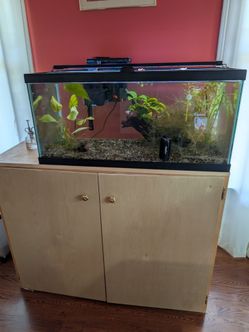 Aqueon 40 gallon breeder and a custom made stand.