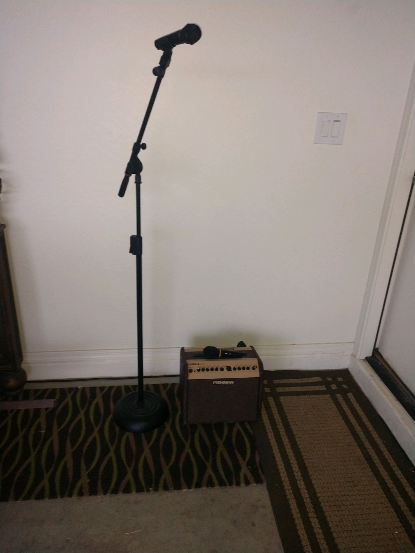 Microphone and amp