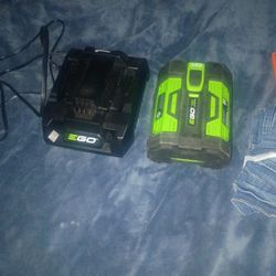 E Go Battery 56 Volt 6.0ah With The Charger Made 2024 December 24th New