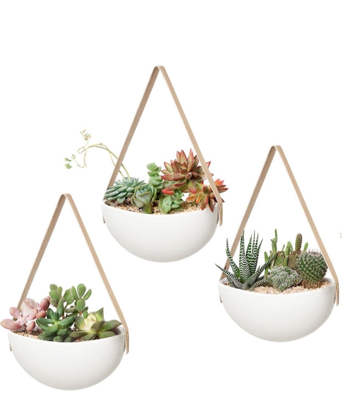 Ceramic Plants Hangers 3 Pcs (Plant Not Included)
