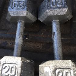 Dumbbells 20lb Pair