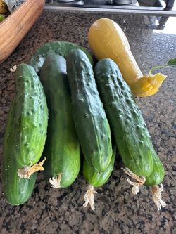 Cucumbers